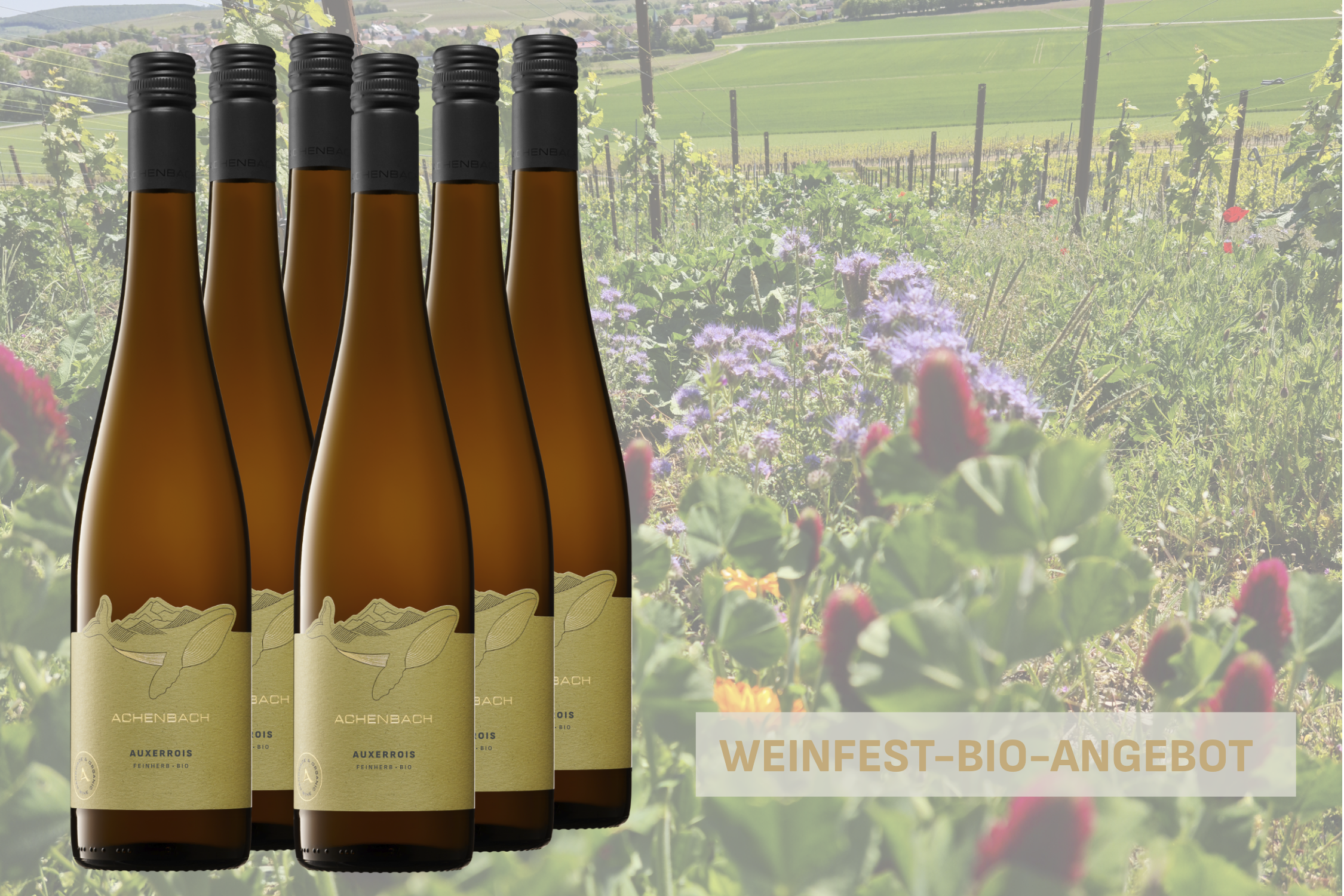 Weinfestangebot Auxerrois feinherb - BIO 