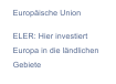 EU-IntestiertC5gs7TU8R24Sw
