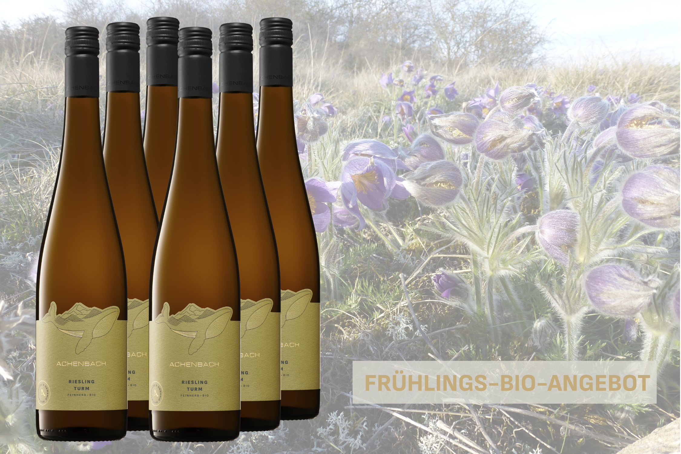 Frühlingsangebot Riesling Turm feinherb- BIO  