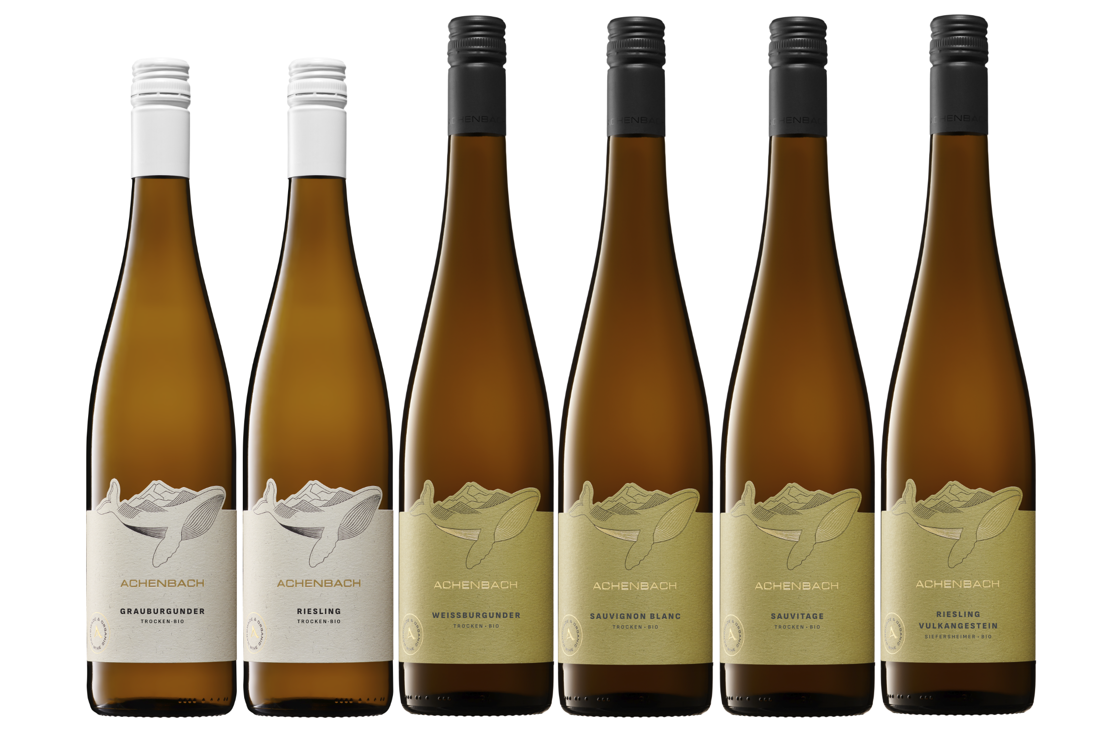 Bio-Weinprobe "trocken & weiß"