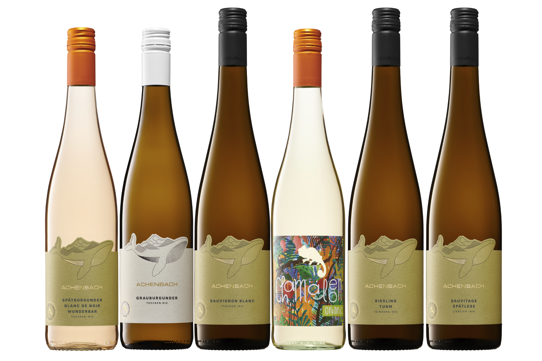 Bio-Weinprobe "Spannende 2025er"