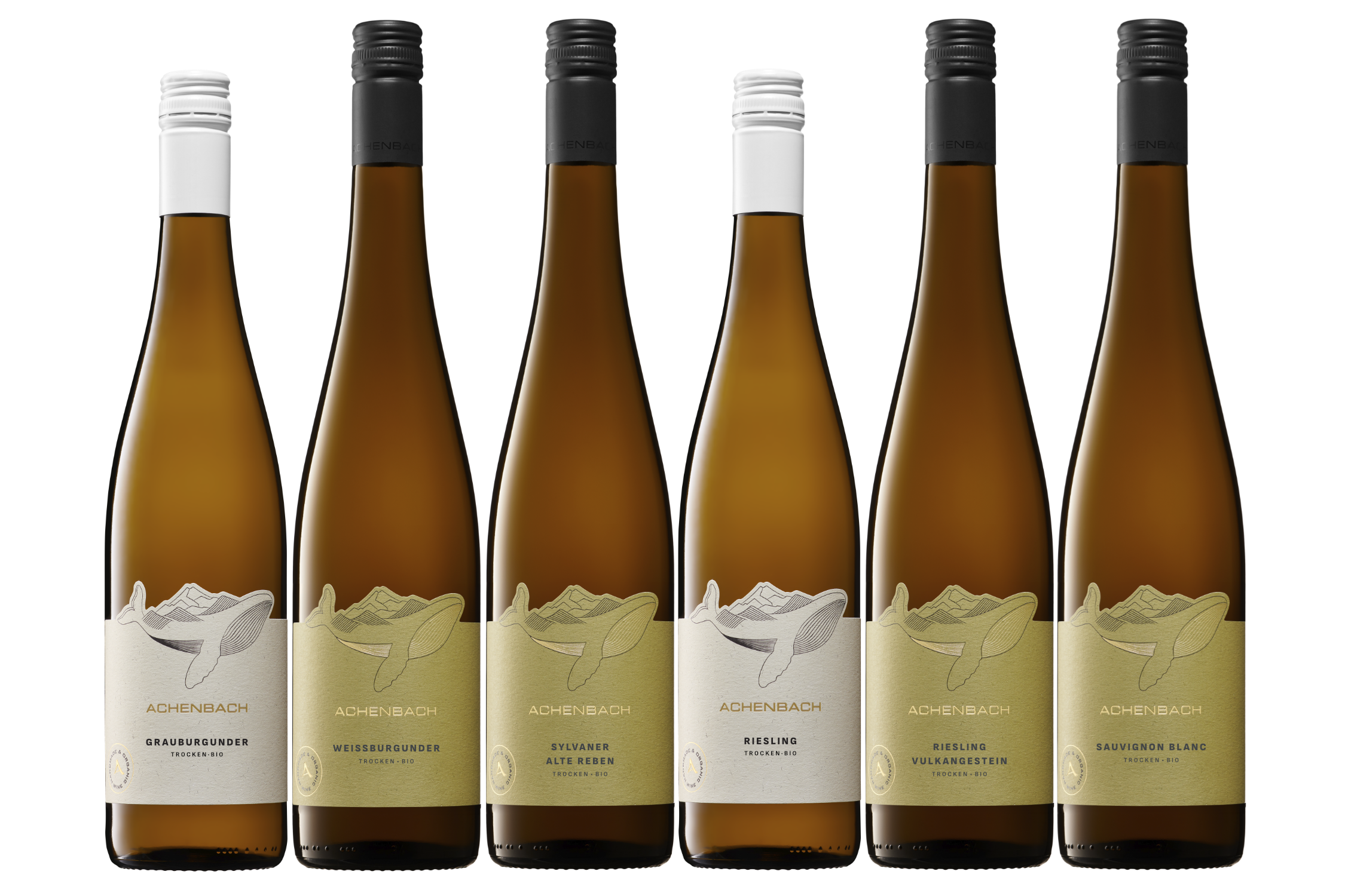 Bio-Weinprobe "trocken & weiß"