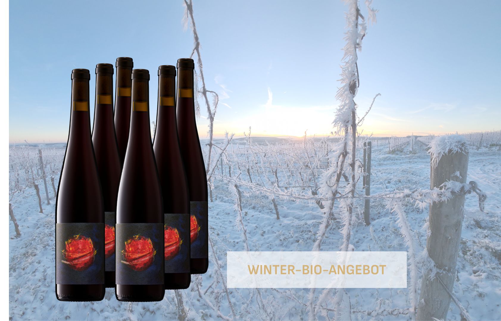 Festtagsangebot Feuerplanet Premium-Rotweincuvée trocken - BIO