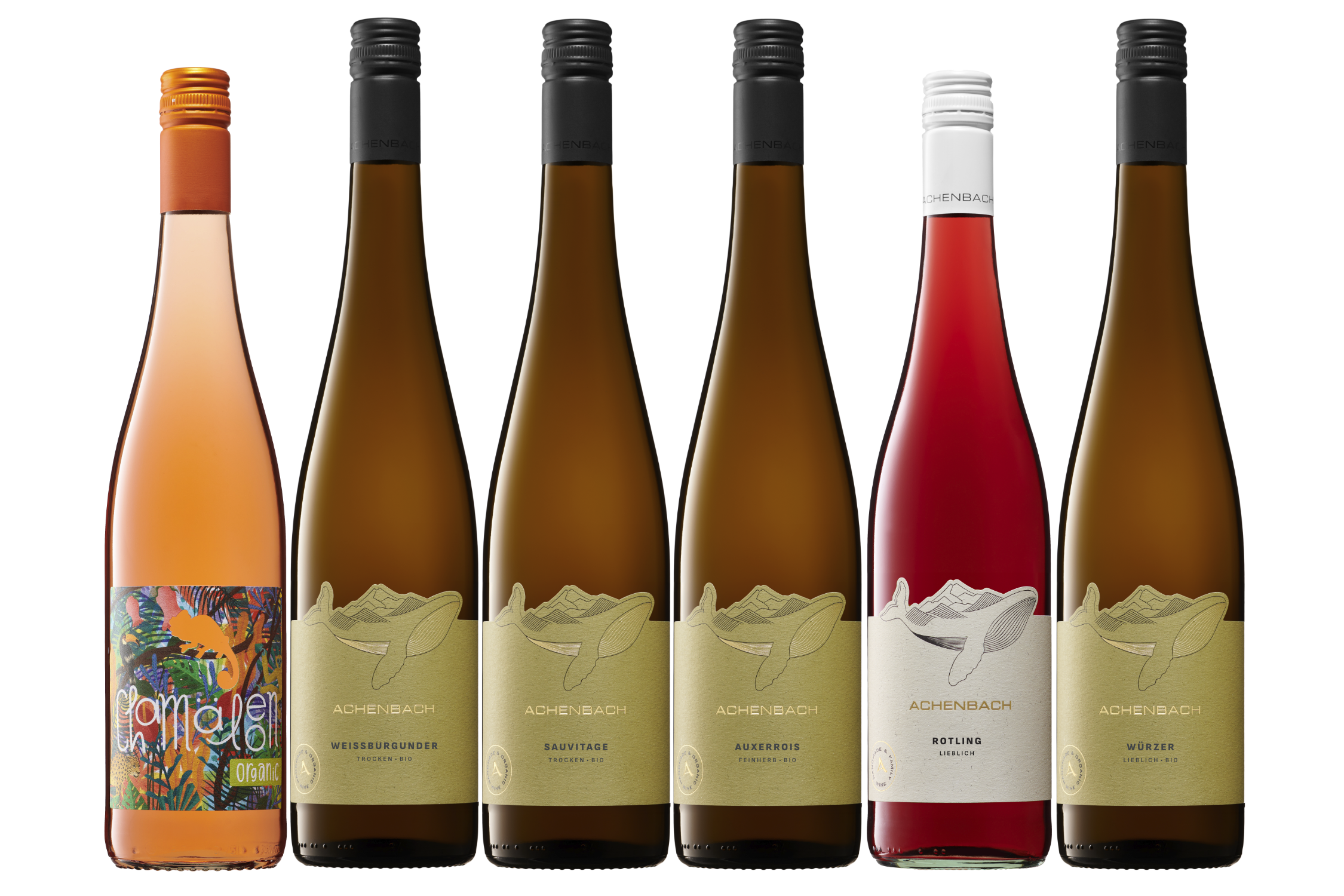 Bio-Weinprobe "Mehr Spannende 2025er"  