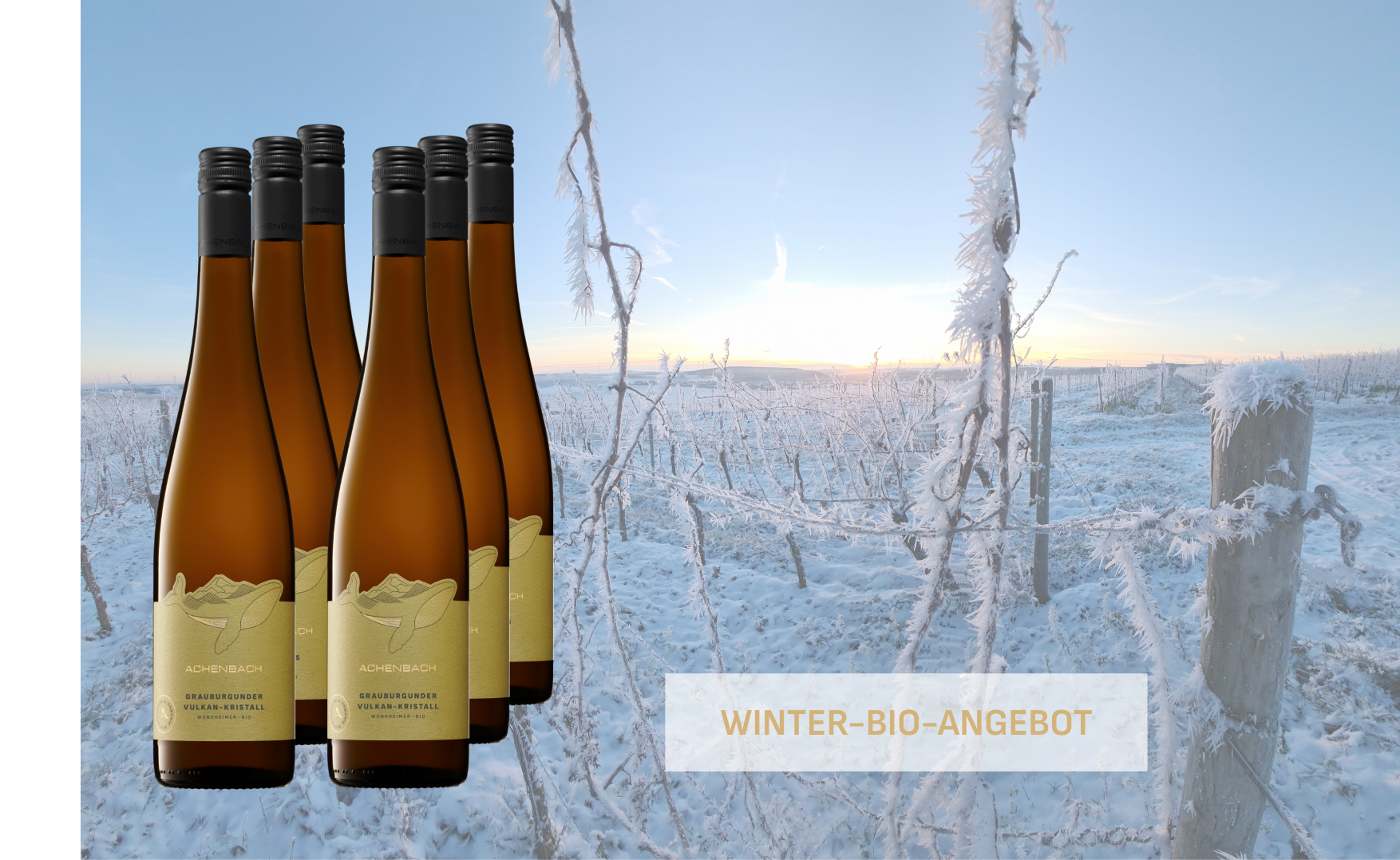 Festtagsangebot Grauburgunder Vulkan-Kristall trocken - BIO 