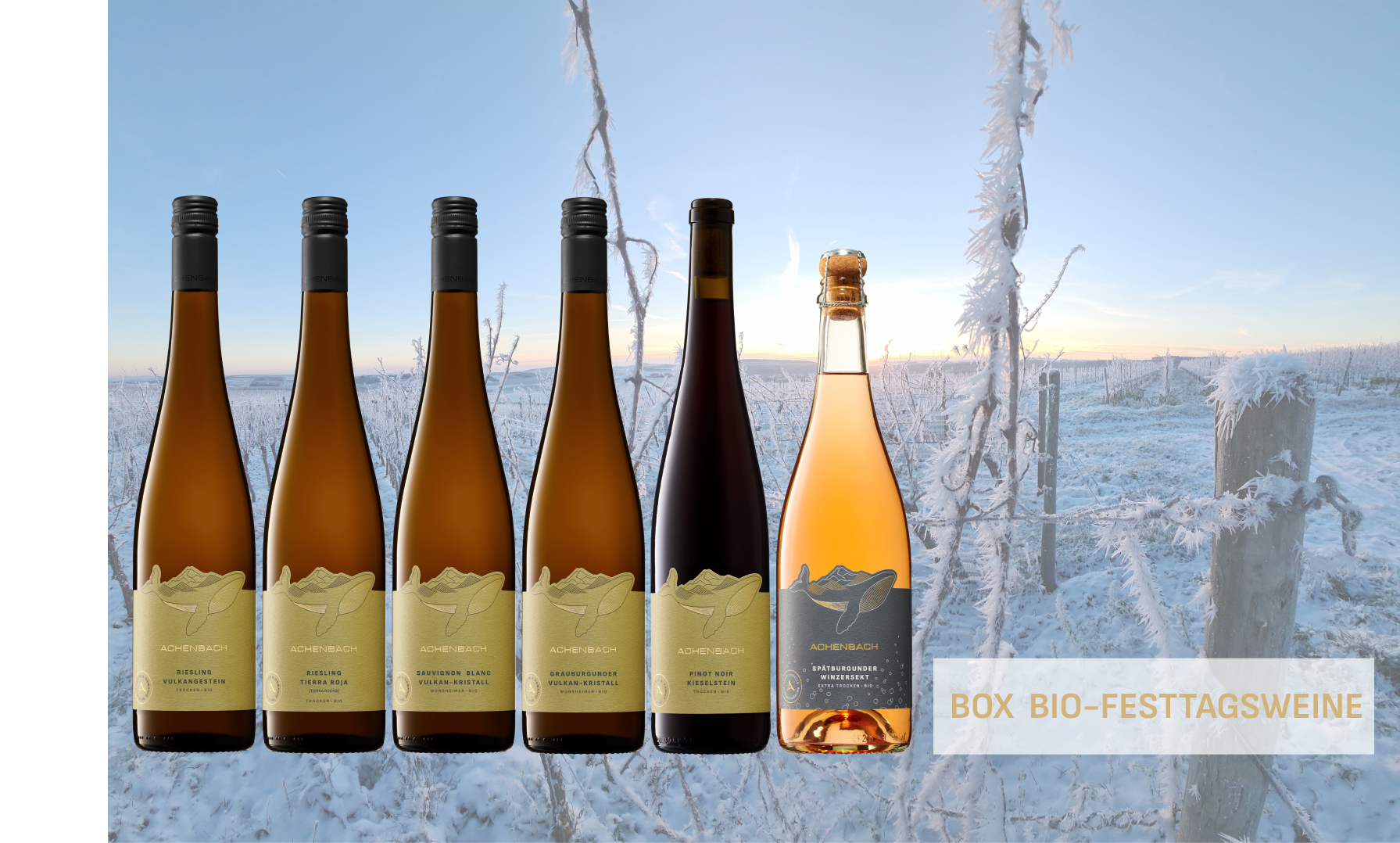 Box "BIO-Festtagsweine"