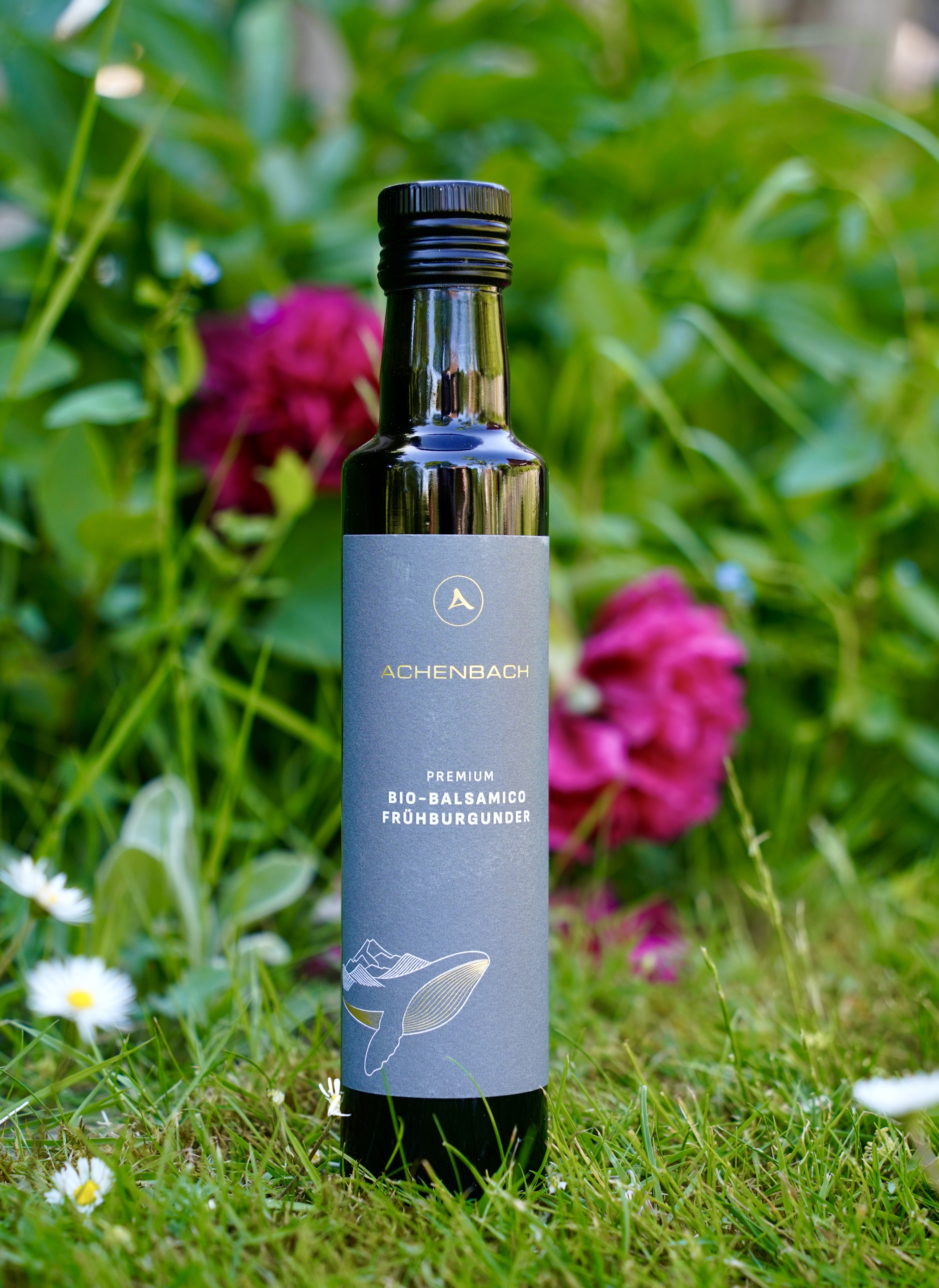 Bio-Balsamico Frühburgunder