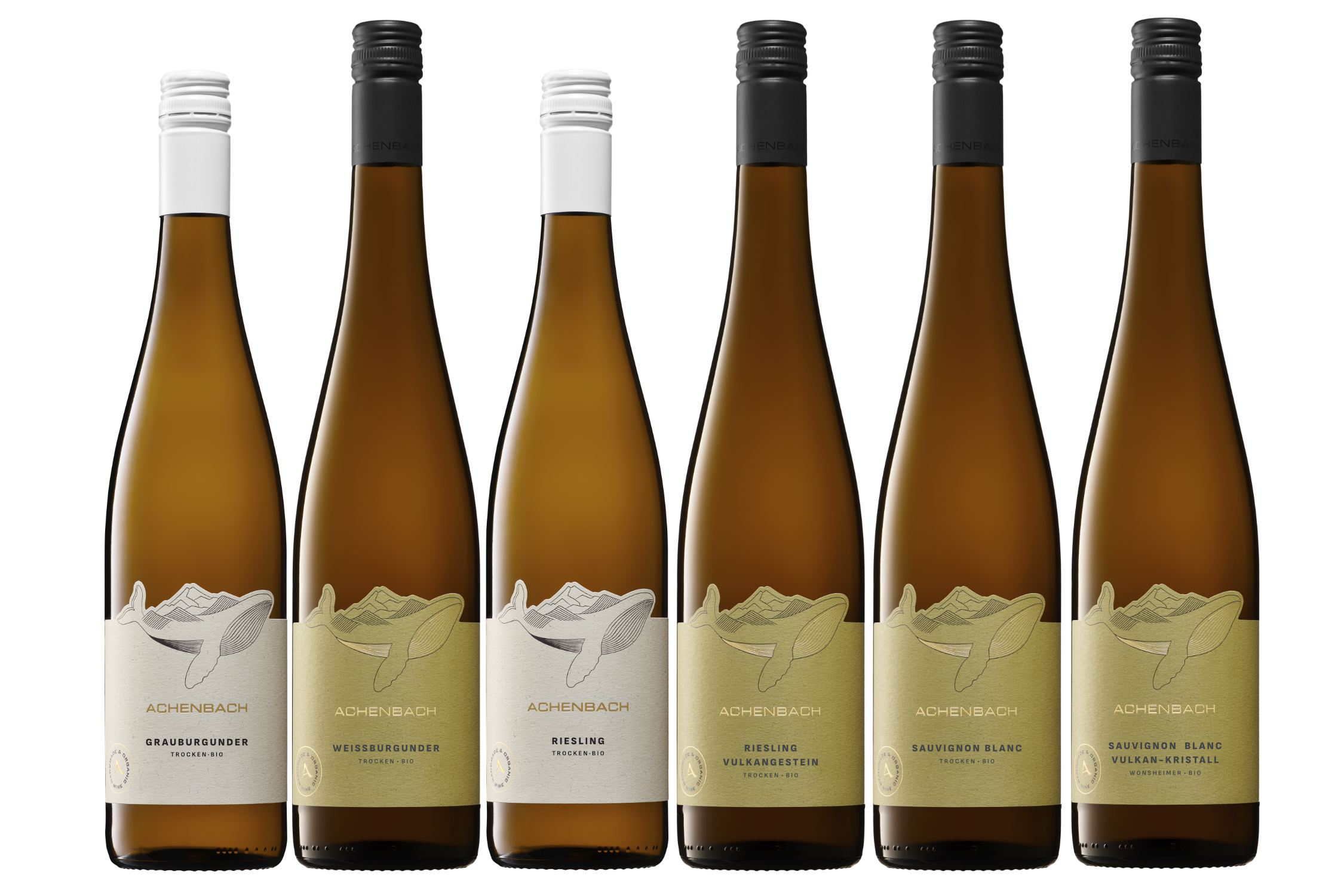 Bio-Weinprobe "trocken & weiß"