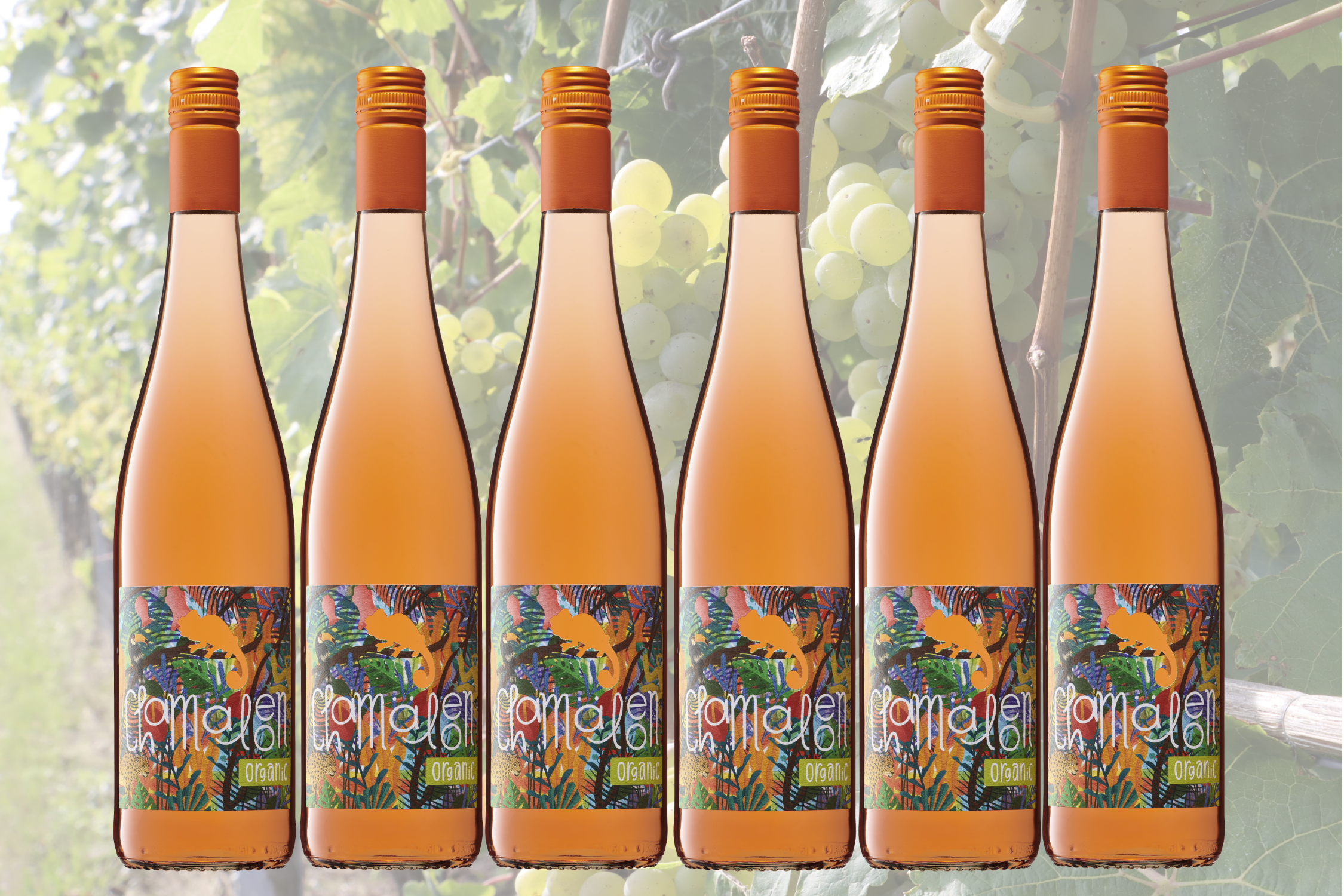 Weinfestangebot Chamäleon Rosé feinherb- BIO
