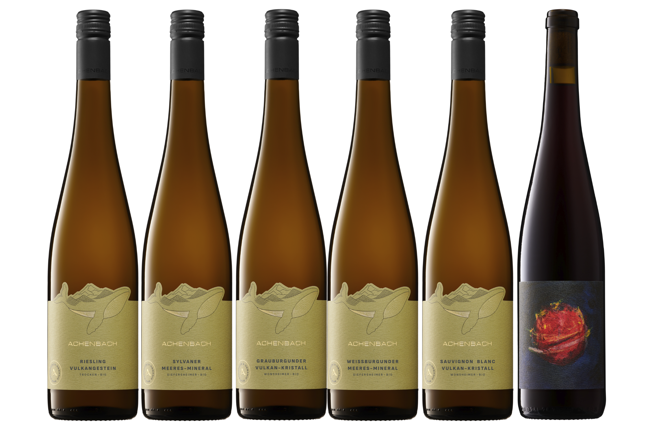 Bio-Weinprobe "Ortsweine & Geologie" 