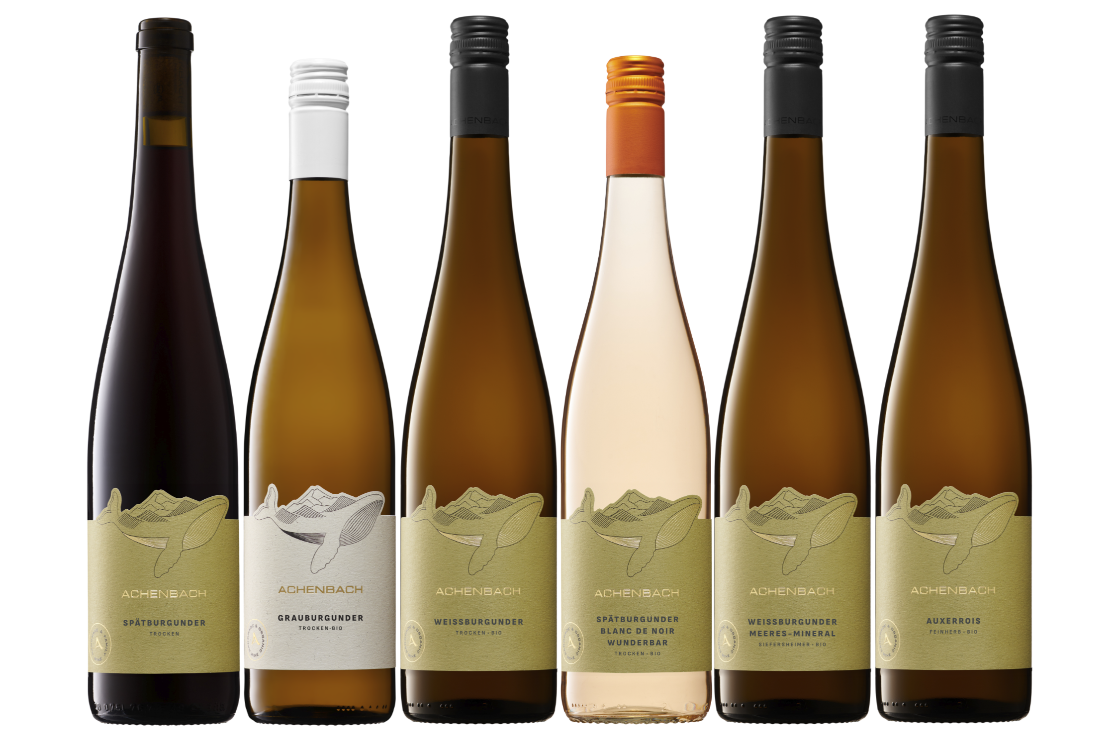 Weinprobe "Burgunder - eine Familie, viele Facetten"