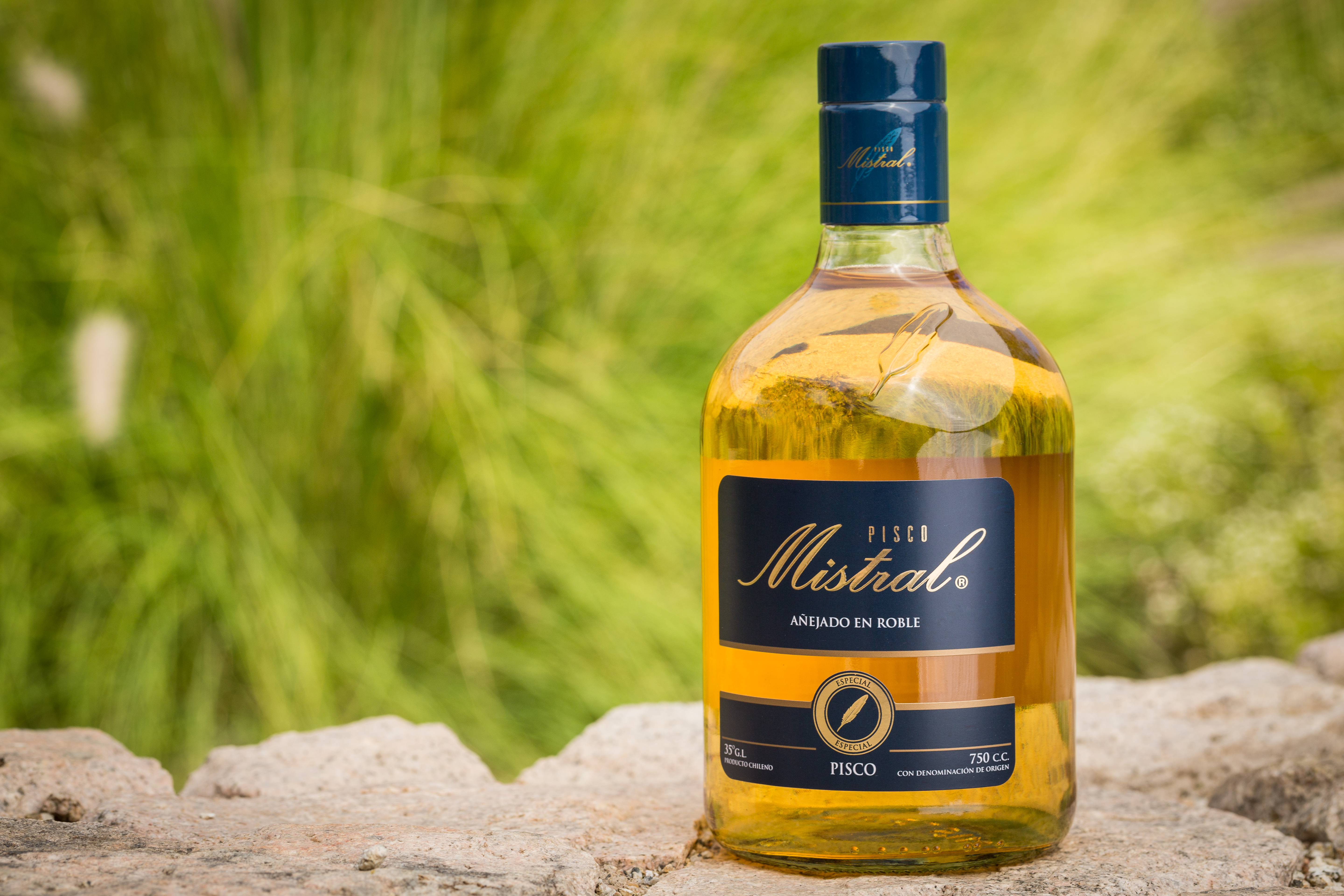 Mistral Pisco